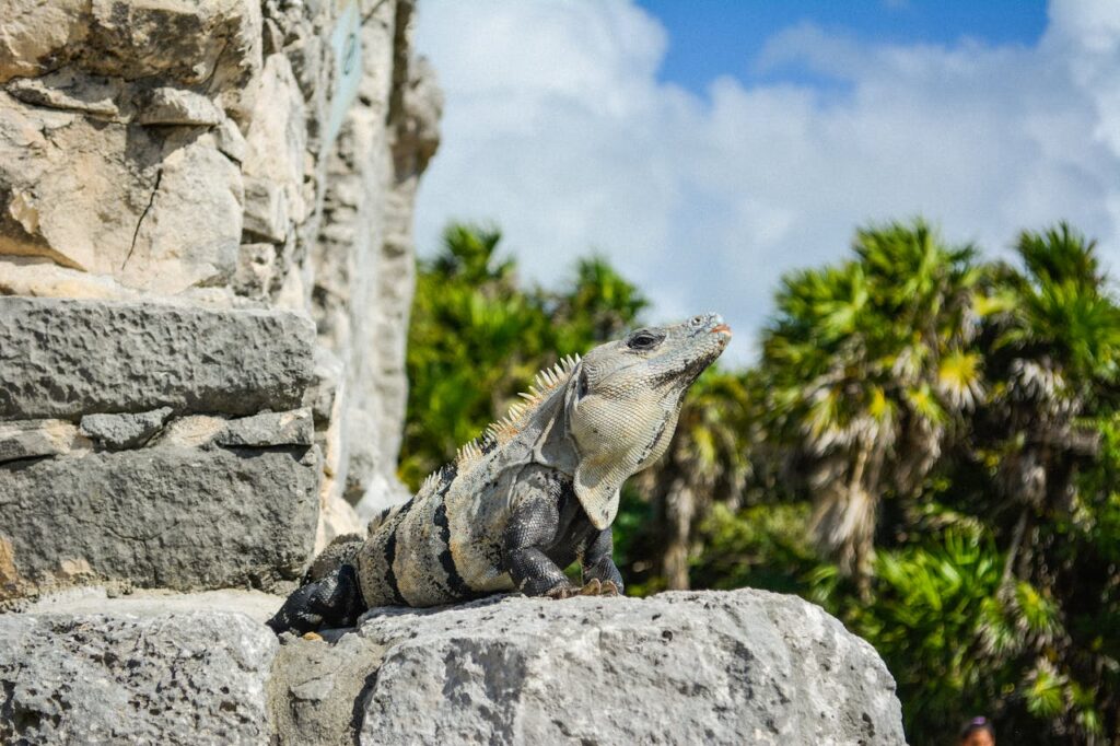 Tulum wedding photographer